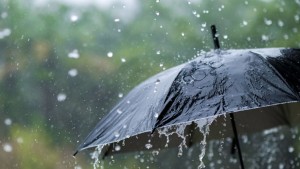 عامر بحبة:طقس مستقر غدًا وعودة الأمطار بداية من مساء الخميس 