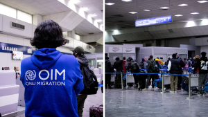 المنظمة الدولية للهجرة بتونس: عودة 97 مهاجرا إلى غينيا ضمن برنامج العودة الطوعية