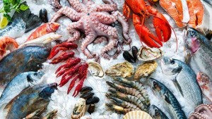 فائض ميزان منتوجات الصيد البحري يُقدّر ب9،1 مليون دينار خلال جانفي 2026