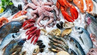 فائض ميزان منتوجات الصيد البحري يُقدّر ب9،1 مليون دينار خلال جانفي 2026