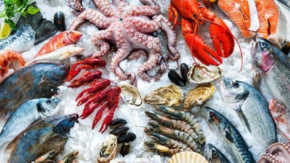 فائض ميزان منتوجات الصيد البحري يُقدّر ب9،1 مليون دينار خلال جانفي 2026