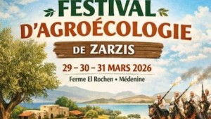 ولاية مدنين