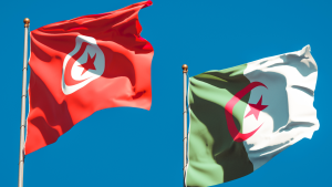 لقاءات مهنية تونسية-جزائرية بالجزائر من 18 إلى 20 ماي 2026