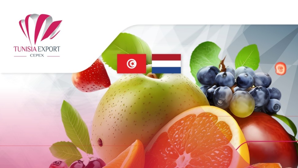 مركز النهوض بالصادرات