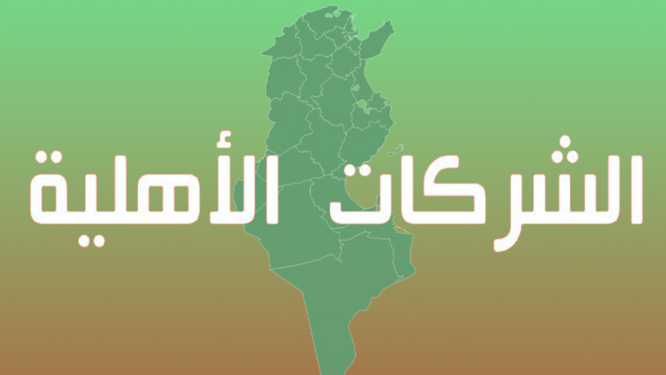 ولاية سيدي بوزيد الأكثر انتفاعا بتمويلات الشركات الأهلية الى غاية ديسمبر 2025