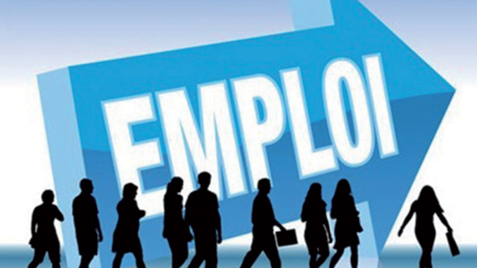 وزارة التشغيل: أكثر من 130 ألف خريج تعليم عالٍ مسجلون بمكاتب التشغيل