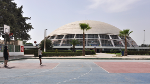 الرابطة الوطنية لكرة اليد