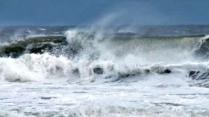 وزارة الفلاحة تدعو الفلاحين الى إحكام تثبيت البيوت المحمية وتأمين المواشي