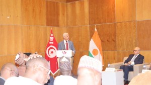 تونس النيجر