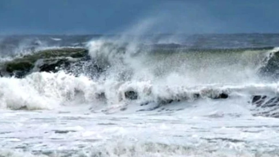 وزارة الفلاحة تدعو الفلاحين الى إحكام تثبيت البيوت المحمية وتأمين المواشي