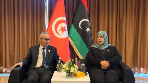 وزير الشؤون الاجتماعية يؤكد على أهمية مراجعة اتفاقية الضمان بين تونس وليبيا