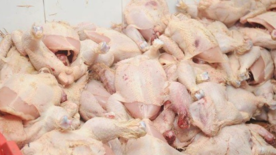 حجز 359 كلغ من لحوم الدواجن  داخل محل عشوائي بقفصة