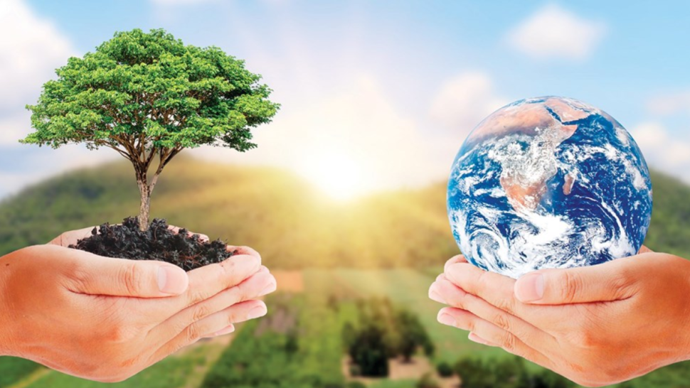 انطلاق قبول المطالب لفائدة الجمعيات والمنظمات البيئية للحصول على التمويل العمومي