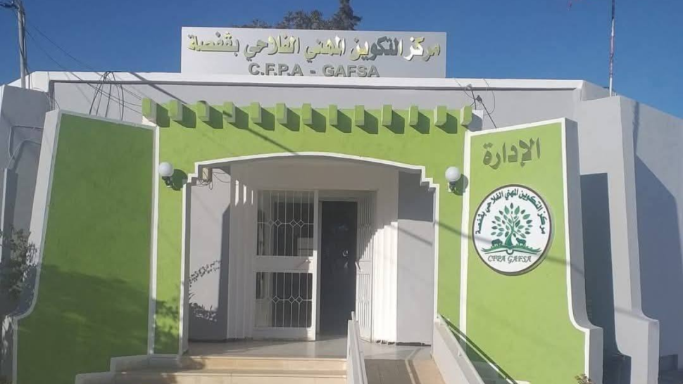 انطلاق دورة تكوينية فلاحية بقفصة.. أكثر من 100 متكون وخطط للتوسعة وتعزيز الموارد