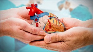 مركز النهوض بزرع الأعضاء: نعتمد منظومة للتوزيع العادل والشفاف للأعضاء