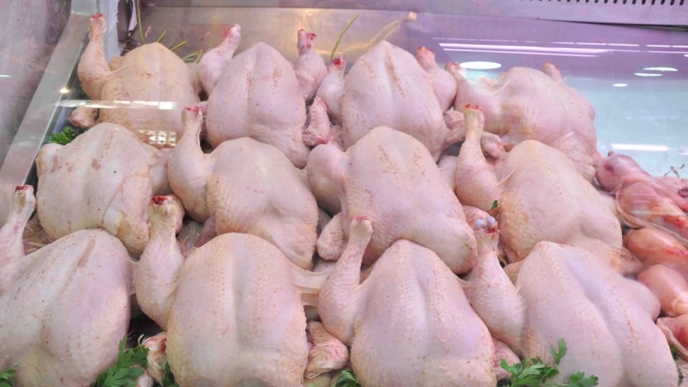 قبلي: توفير 500 دجاجة جاهزة للطبخ بسعر 8 دنانير للواحدة