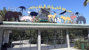 بلدية تونس: غلق حديقة الحيوانات بالبلفيدير لمدة شهر