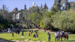 حديقة البلفيدير