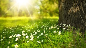 طقس اليوم: ارتفاع طفيف في درجات الحرارة