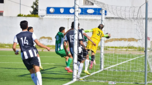 اللجنة الوطنية للإستئناف