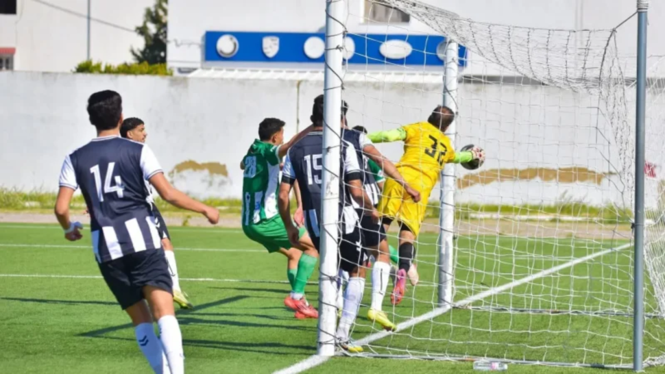 اللجنة الوطنية للإستئناف