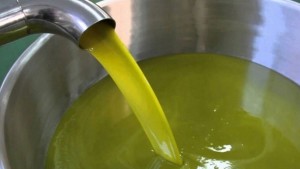 زيت الزيتون التونسي يدخل السوق البرازيلية