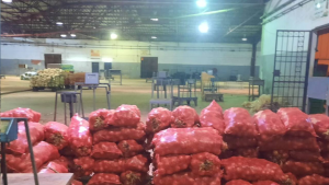 صفاقس: حجز خضر وغلال غير صالحة للاستهلاك كانت معدة للترويج بالسوق