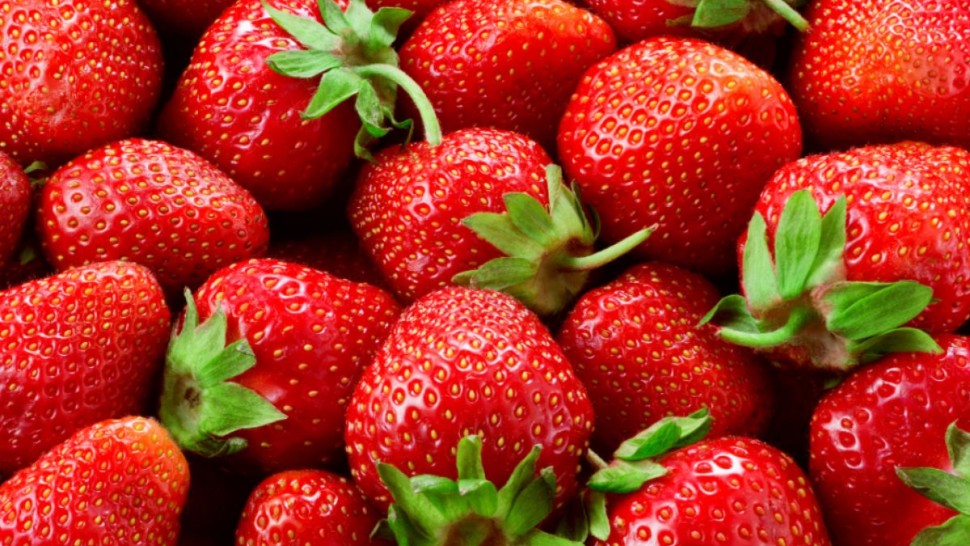 هيئة السلامة الصحية للمنتجات: ما يتم تداوله حول الفراولة لا أساس له من الصحة