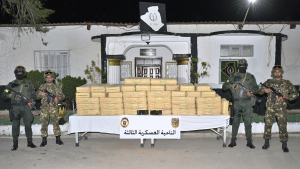 وزارة الدفاع الجزائرية: إحباط محاولة إدخال أكثر من 11 قنطارا من الزطلة