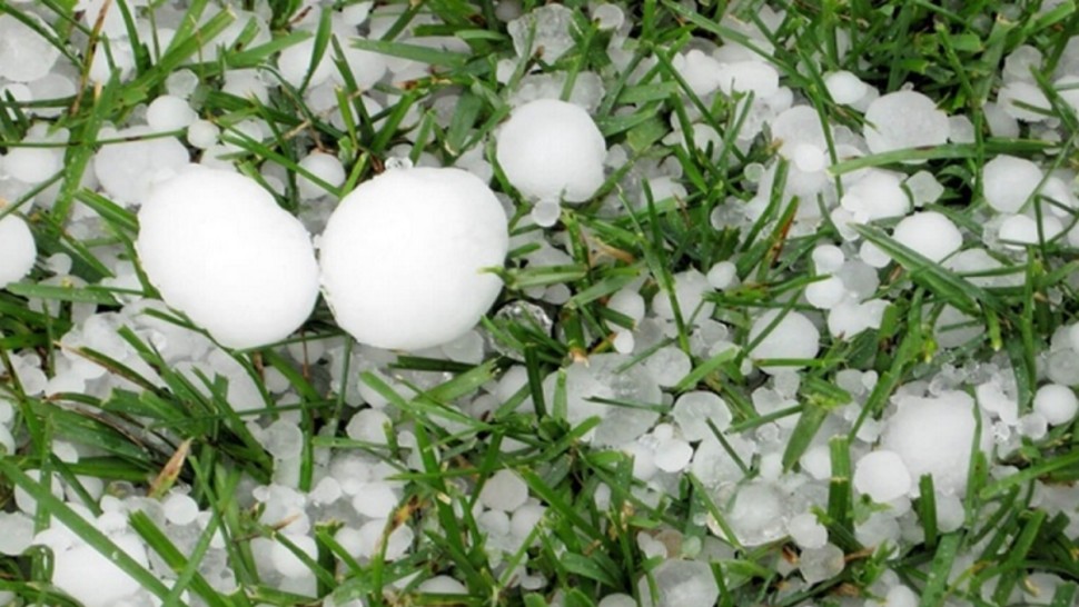 نقابة الفلاحين بالمهدية