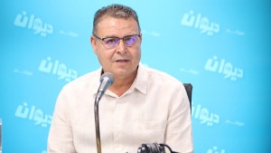 المغزاوي: هناك محاولة لضرب الأحزاب واخلاء الساحة السياسية