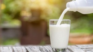 الرابحي: الحليب المعقم في السوق سليم وصالح للاستهلاك