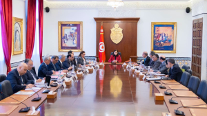 لجنة المشاريع الكبرى تتخذ قرارت بخصوص هضبة سيدي بوسعيد و عدد من مشاريع تهيئة مؤسسات جامعية