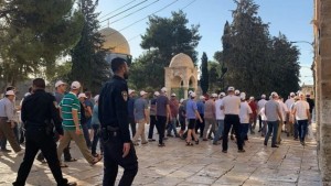 150مستوطنا يقتحمون المسجد الأقصى بحماية الشرطة