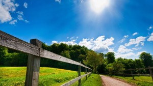 اليوم.. الحرارة تصل إلى 34 درجة