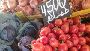 رئيس منظمة الدفاع عن المستهلك: تلاعب بالتزويد وشبهات فساد غذّى غلاء الأسعار