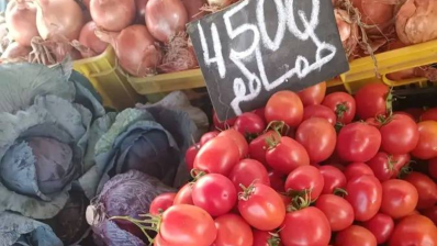 رئيس منظمة الدفاع عن المستهلك: تلاعب بالتزويد وشبهات فساد غذّى غلاء الأسعار