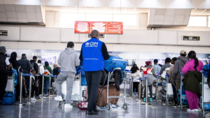 غدا الخميس: منظمة الهجرة بتونس تنظم يوم الأبواب المفتوحة للمهاجرين المهتمين بالعودة الطوعية