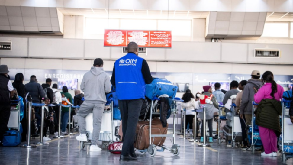 غدا الخميس: منظمة الهجرة بتونس تنظم يوم الأبواب المفتوحة للمهاجرين المهتمين بالعودة الطوعية