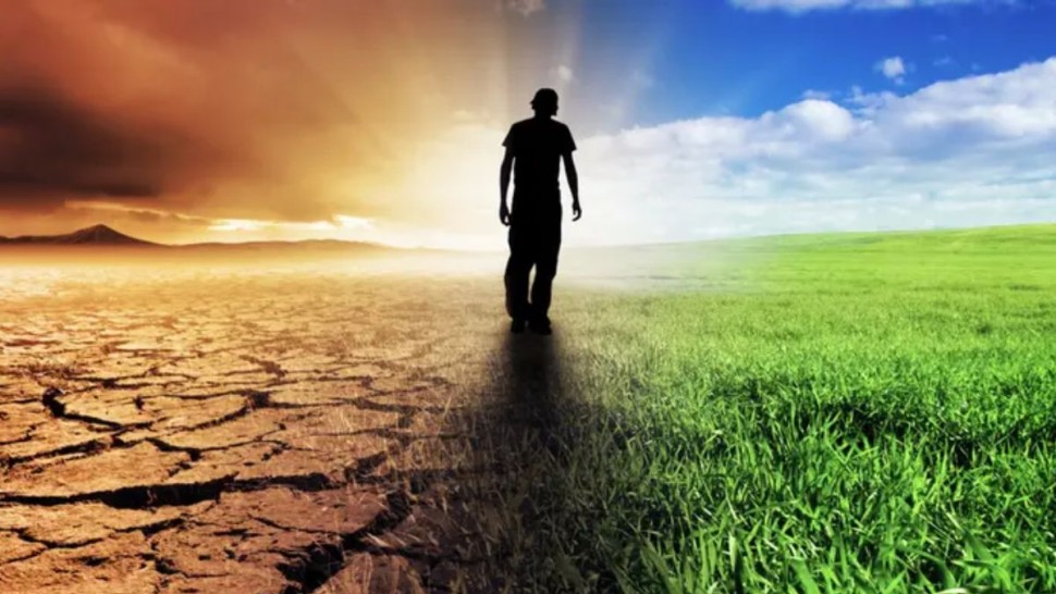 الأمم المتحدة: موجات الحر الشديدة تهدد نظم الغذاء بالعالم