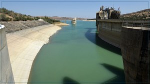 ولاية باجة تحذر من السباحة في السدود والبرك