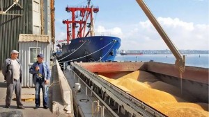 تونس تطرح مناقصة لشراء نحو 25 ألف طن من علف الشعير