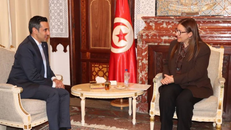 المدير المؤسسة العربية لضمان الاستثمار: حريصون على دعم الاستثمار والماليّة العموميّة بتونس