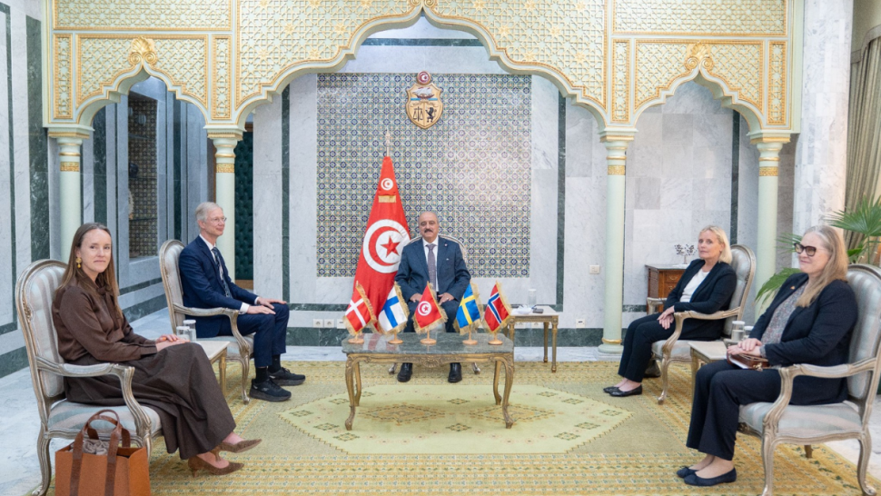 وزير الخارجية يناقش مع سفراء شمال أوروبا واقع العلاقات وآفاق تعزيزها