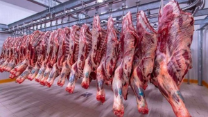 الزياني : توريد كميات من اللحوم الحمراء بمناسبة عيد الأضحى من شأنه تعديل السوق