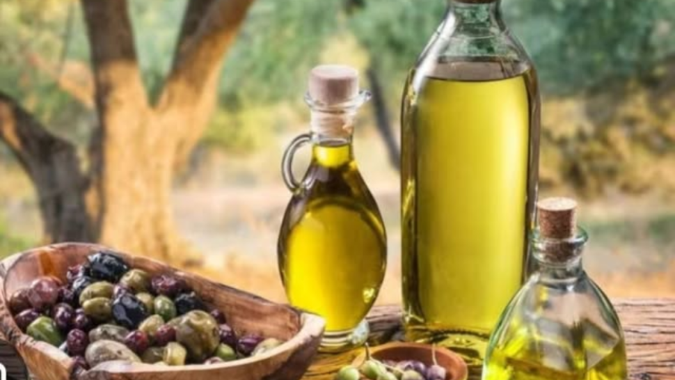 صادرات زيت الزيتون التونسي المعلب ترتفع بـ 69 %