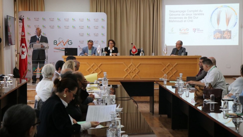 البنك الوطني للجينات