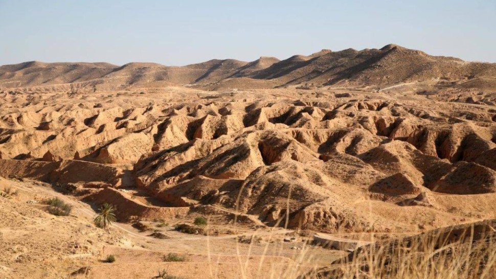 تونس تتسلم الشهادة الرسمية لانضمام الحديقة الجيولوجية "الظاهر" إلى شبكة اليونسكو