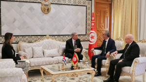 تونس وكوبا تعززان شراكتهما: توجه لتوسيع التعاون في قطاعات حيوية