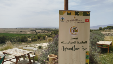 مشروع BIOTED بالوسلاتية: نحو تثمين الموارد الطبيعية ودفع السياحة البيئية